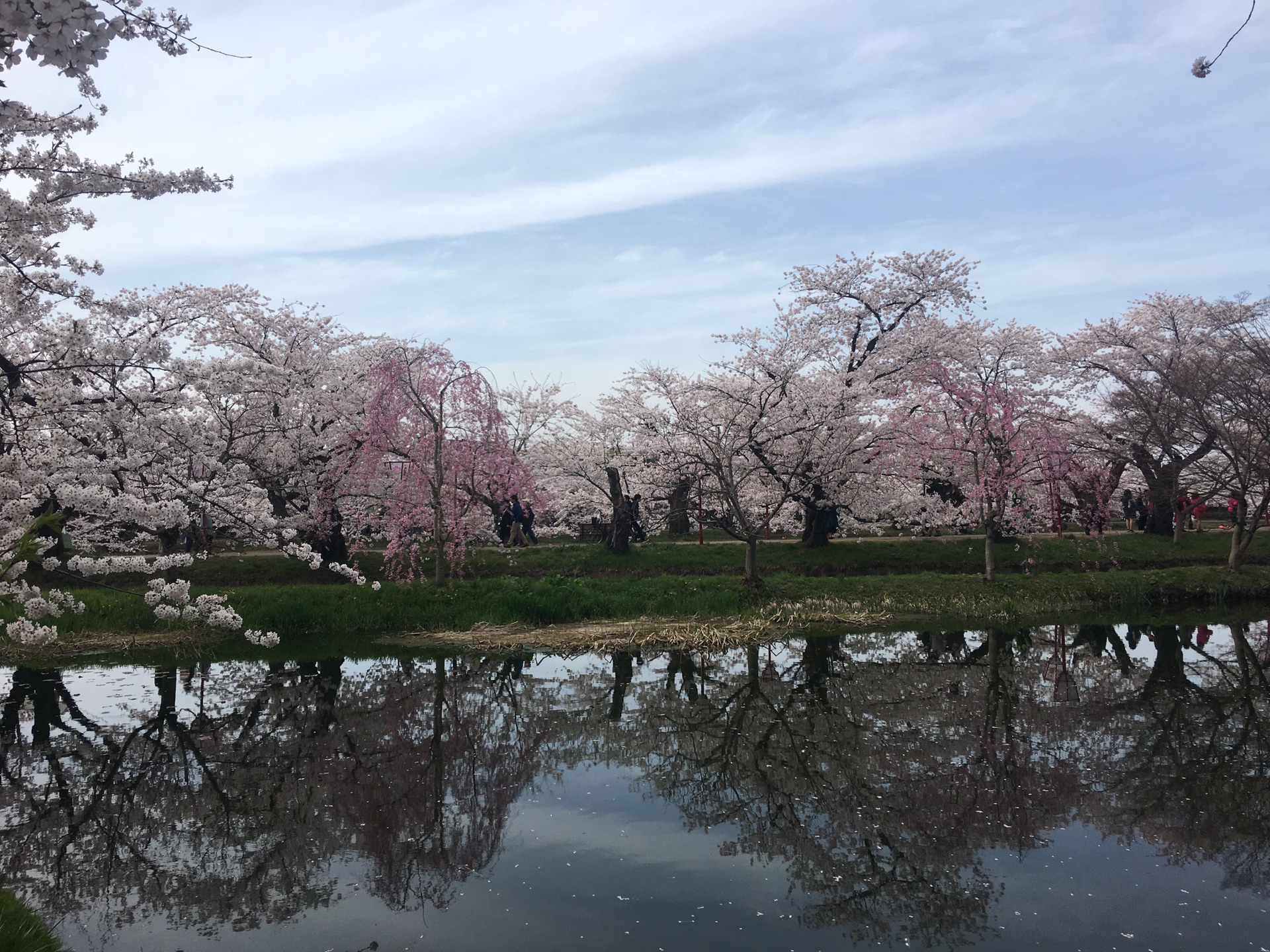 青森縣自助遊攻略