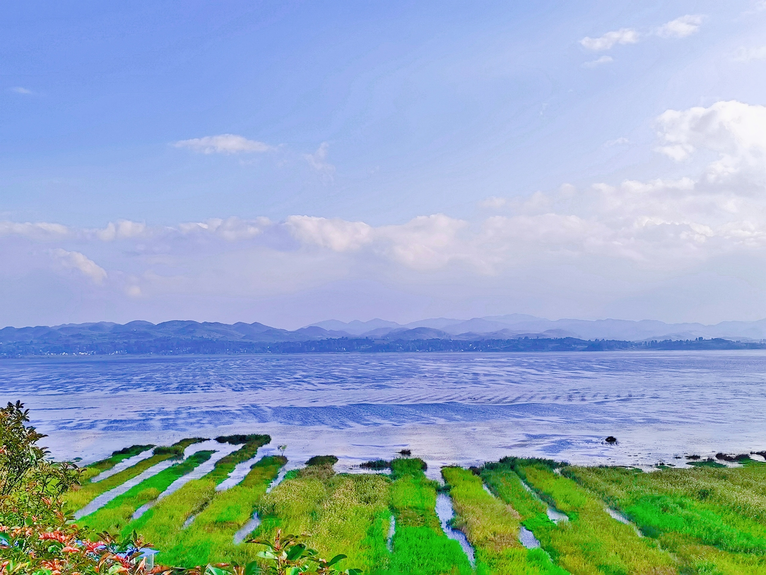 浪漫草海风景区观景亭