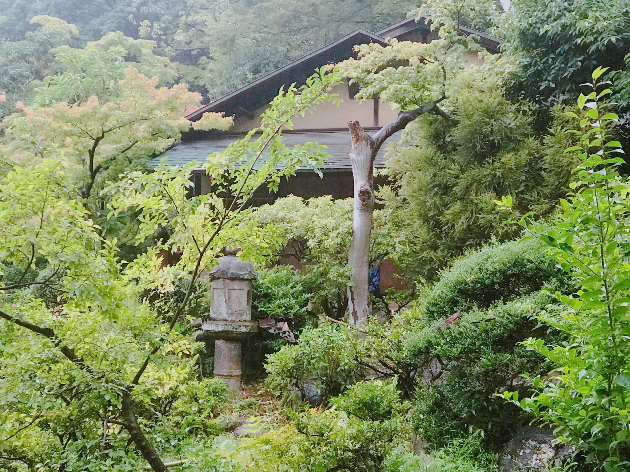 東京自助遊攻略