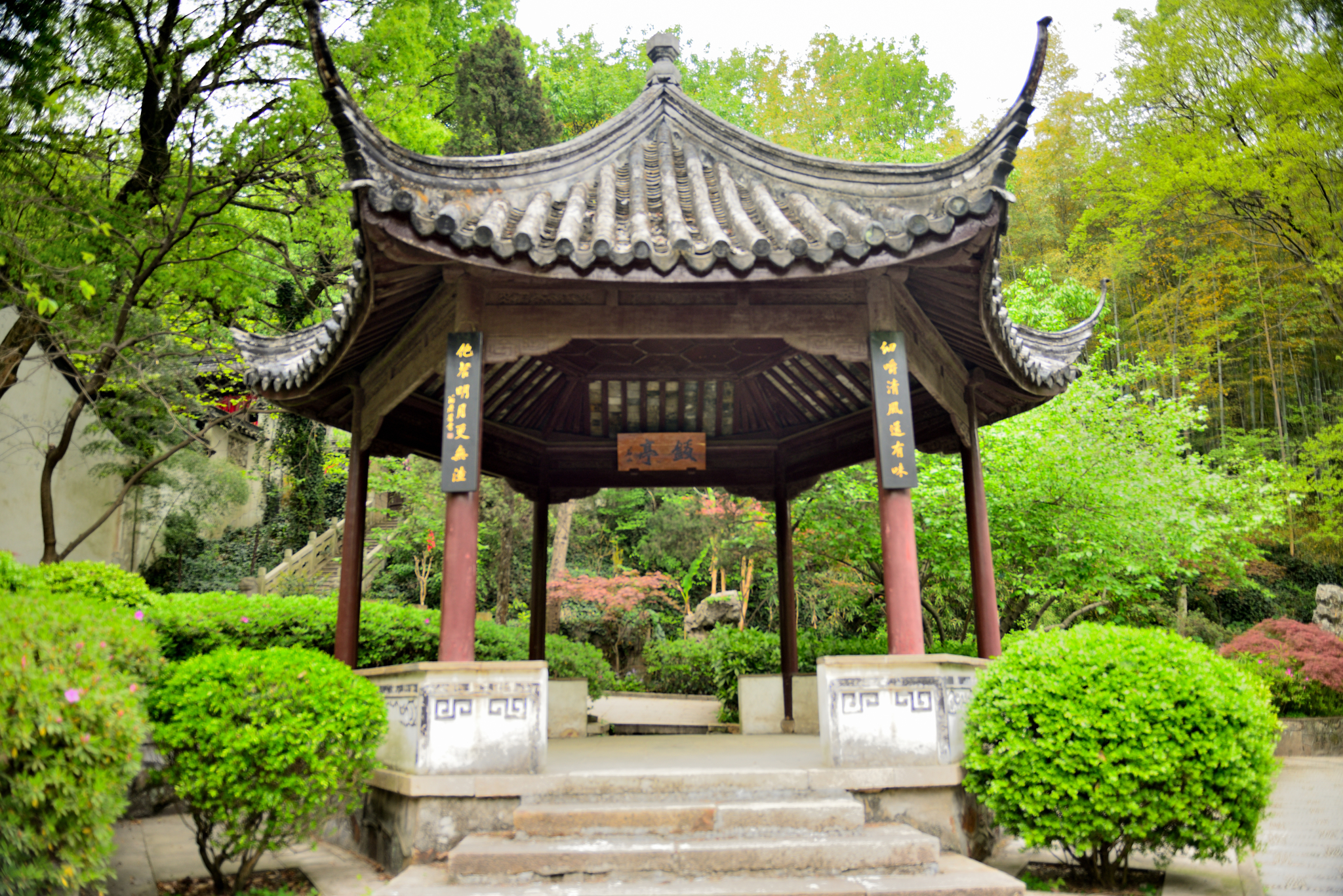 茶后仙游常熟之行福兴禅寺内速览