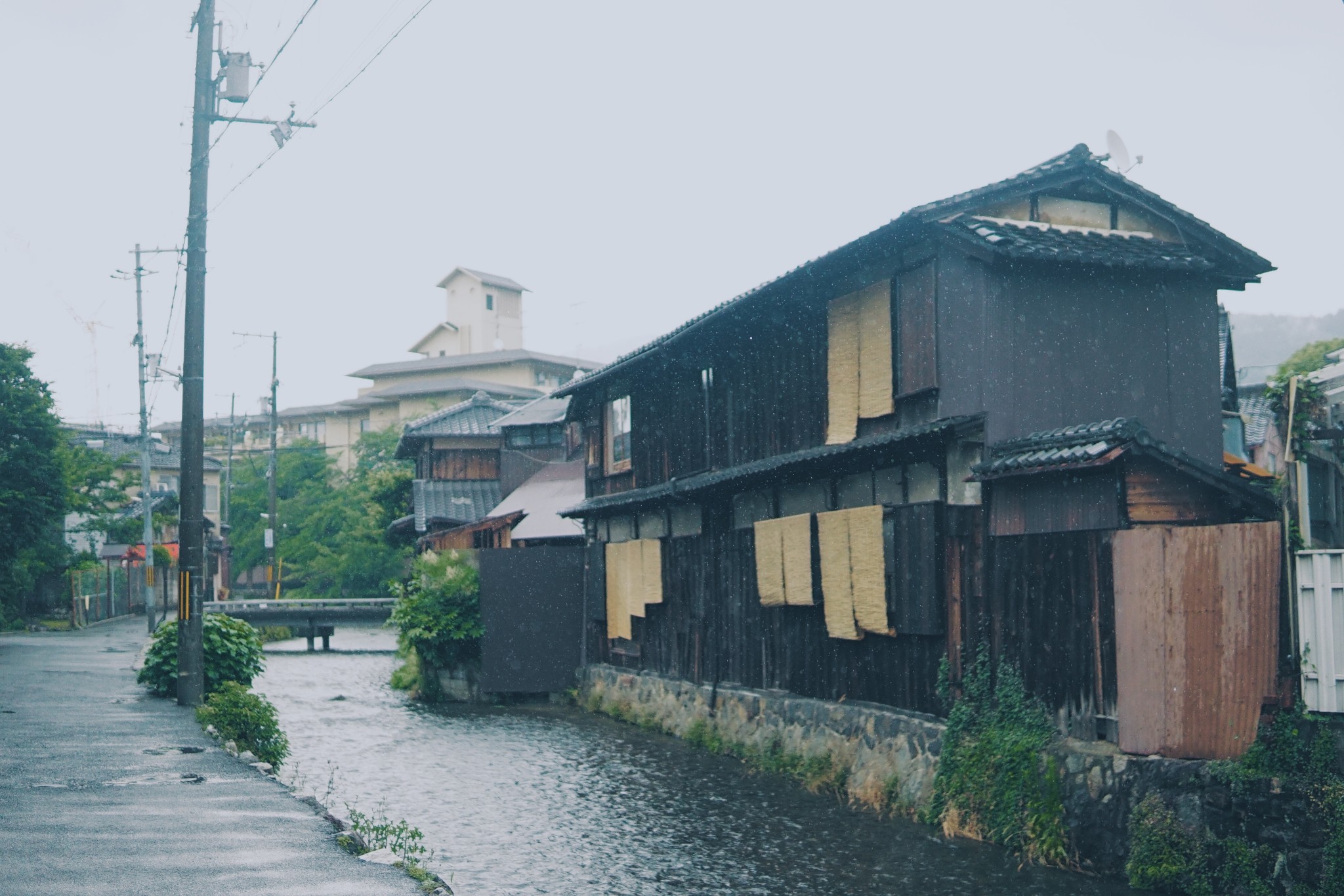 京都自助遊攻略