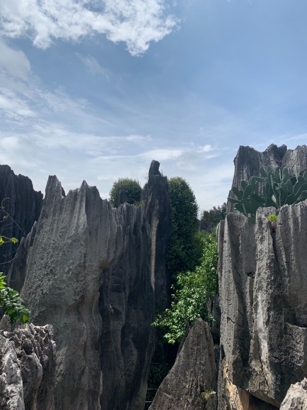 昆明出游攻略,昆明市区景点求推荐