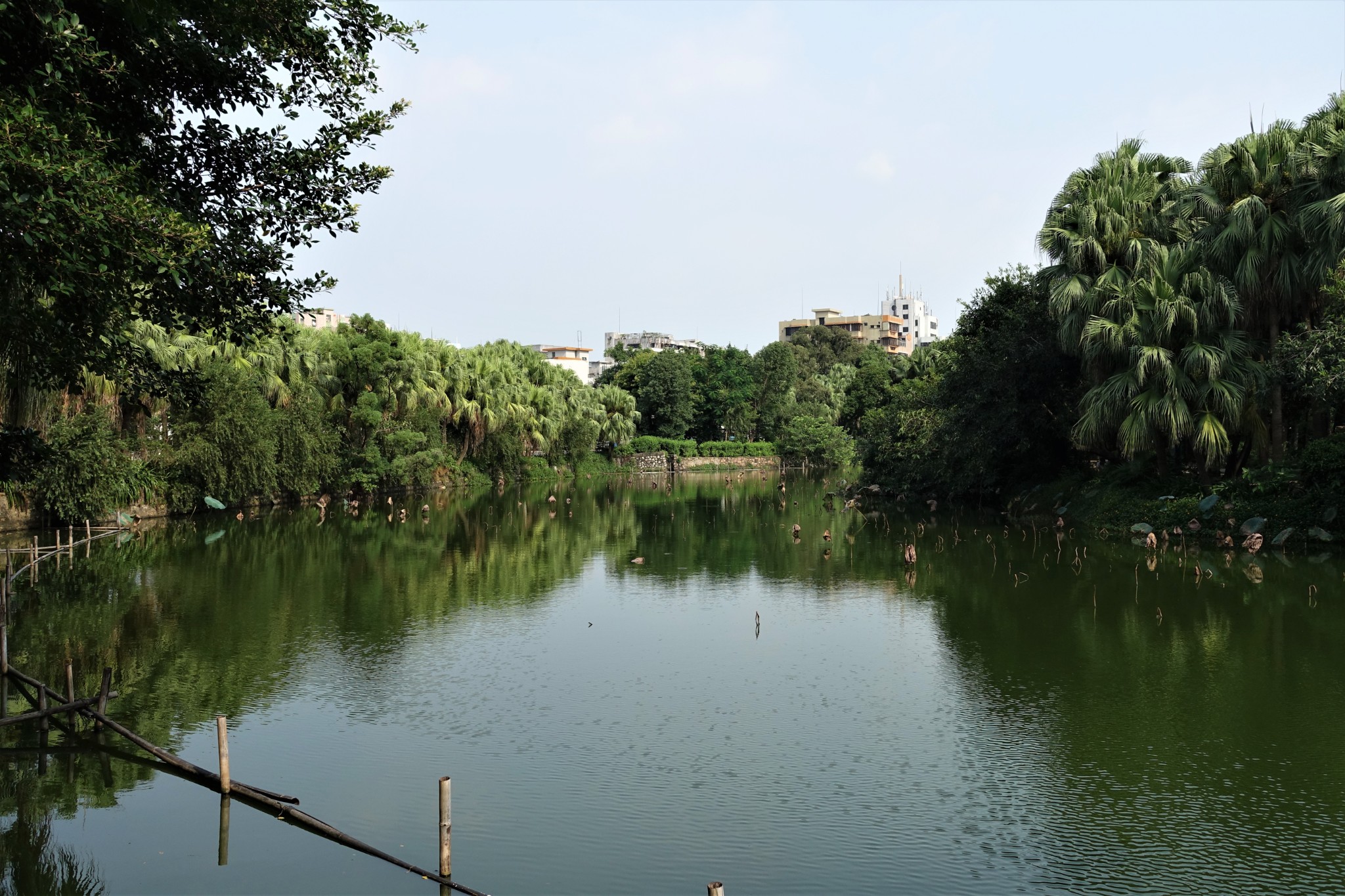 555天中國飲食探索之行——廣東·江門·台山,台山自助遊攻略 - 馬