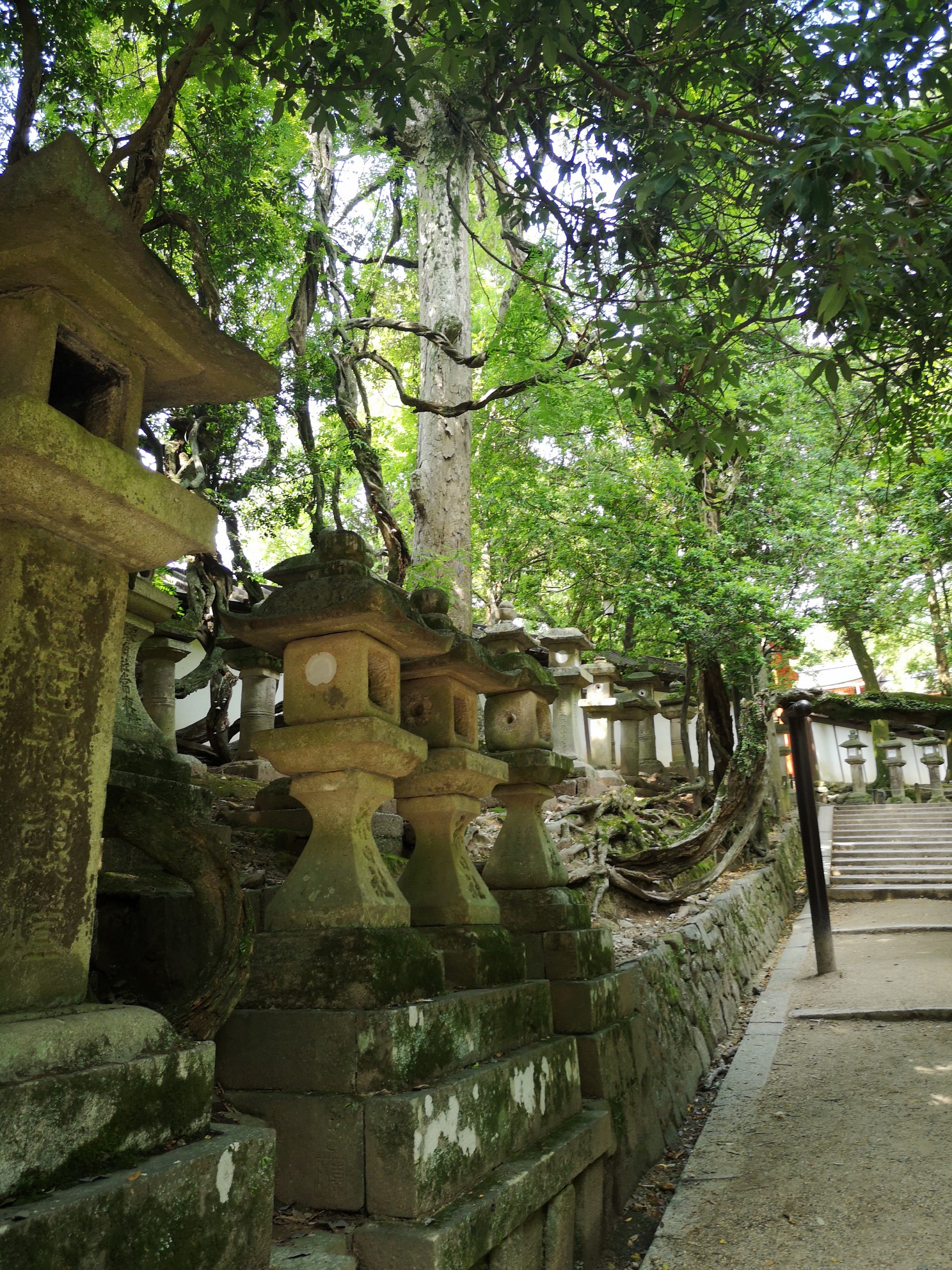 京都自助遊攻略