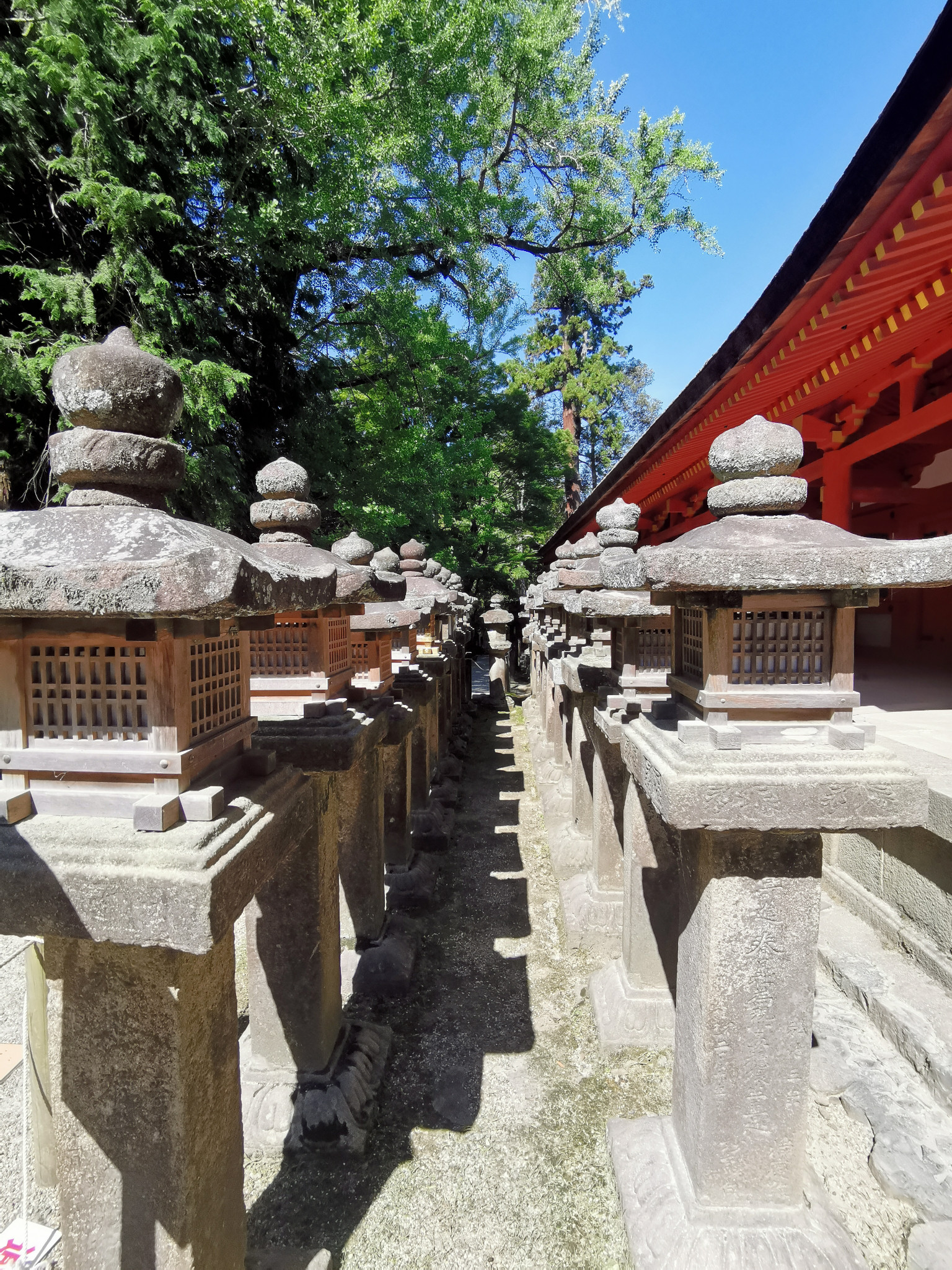 札幌自助遊攻略