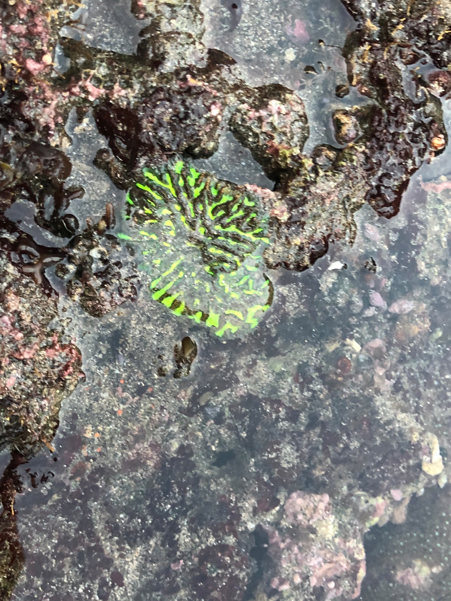 巴釐島自助遊攻略