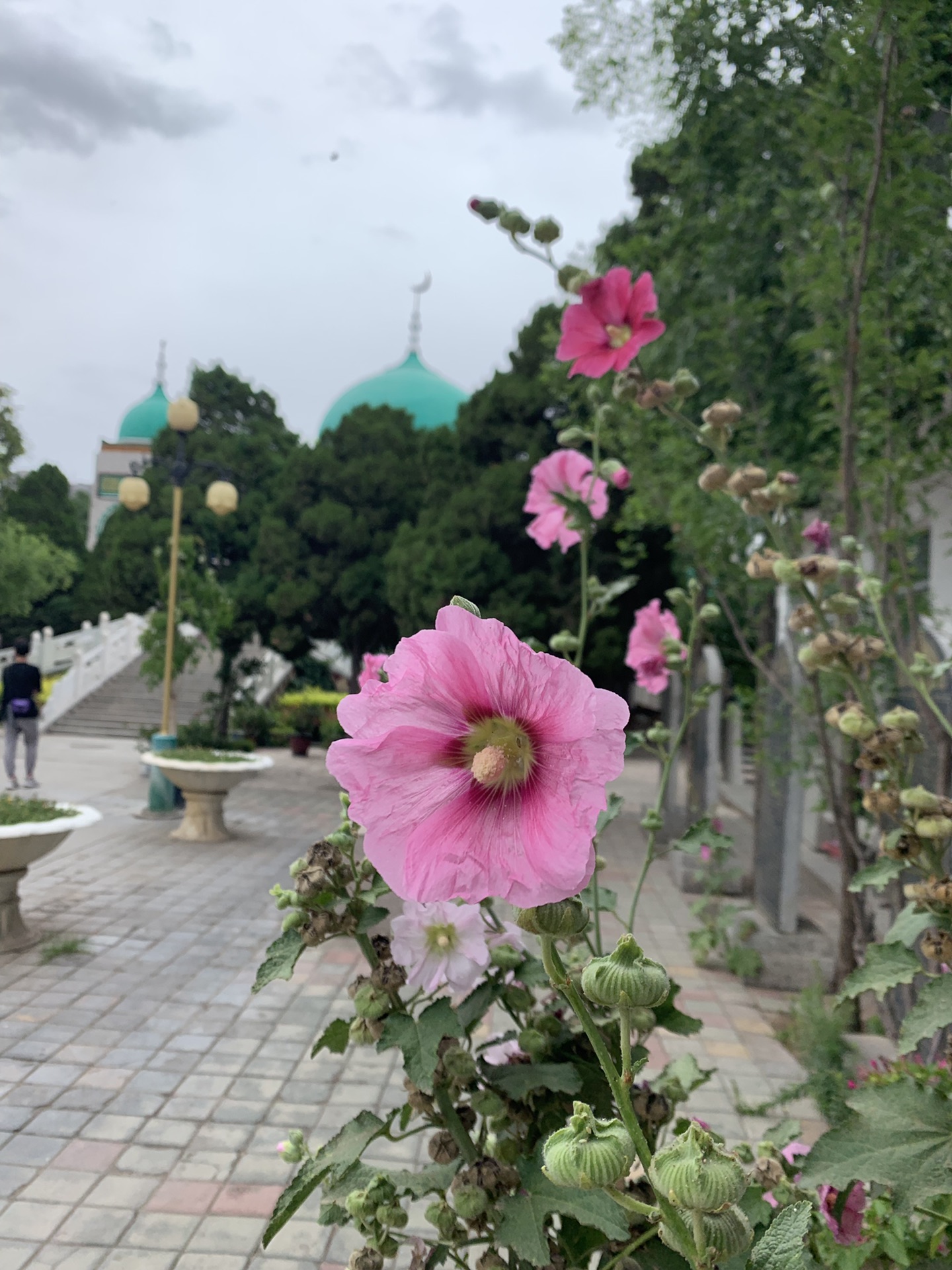 银川南关清真大寺