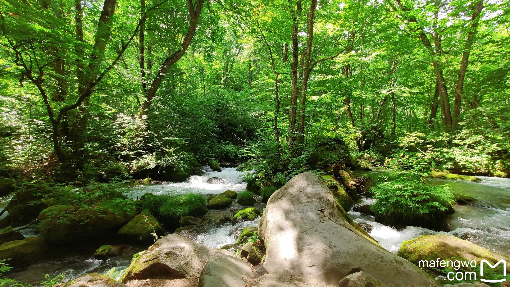 青森縣自助遊攻略