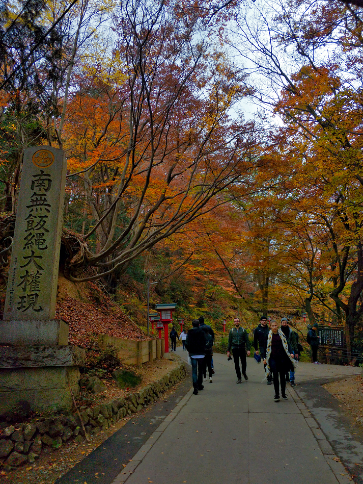 东京都多摩地区和首都圈赏枫攻略