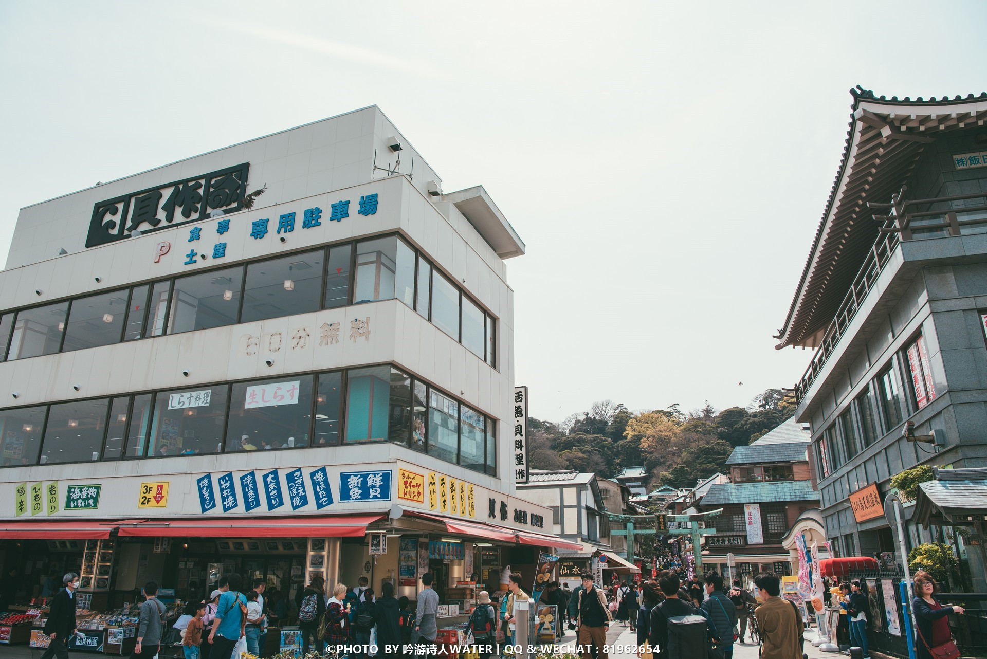 東京自助遊攻略