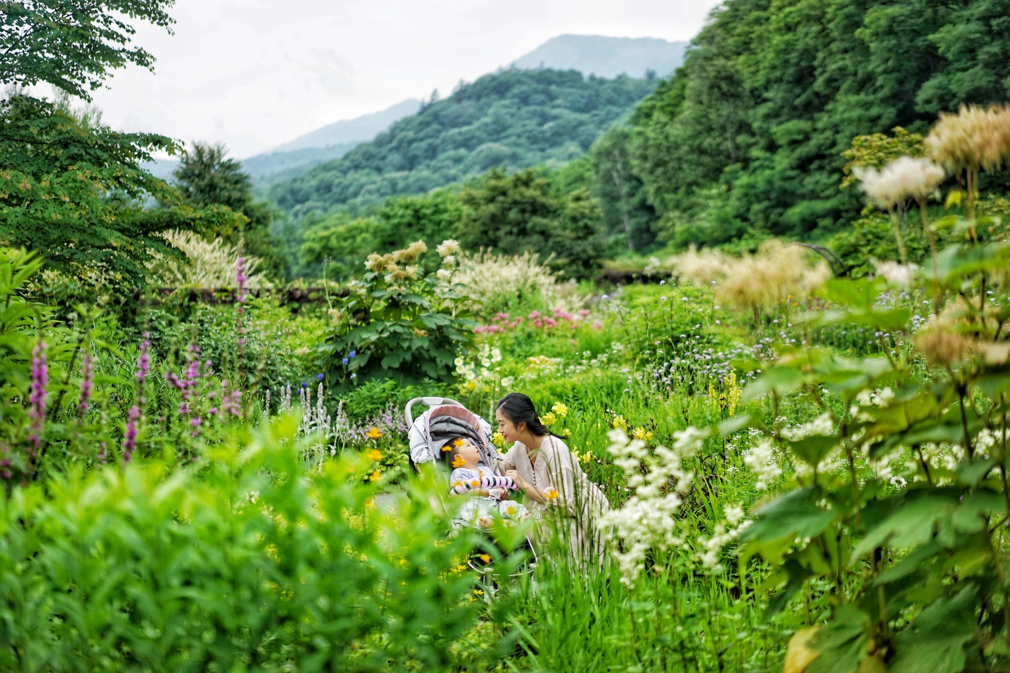 北海道自助遊攻略