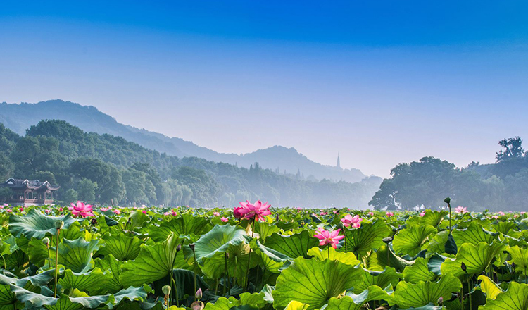 西湖之旅~沈阳直飞杭州3天含税往返机票 (24小时接机服务)