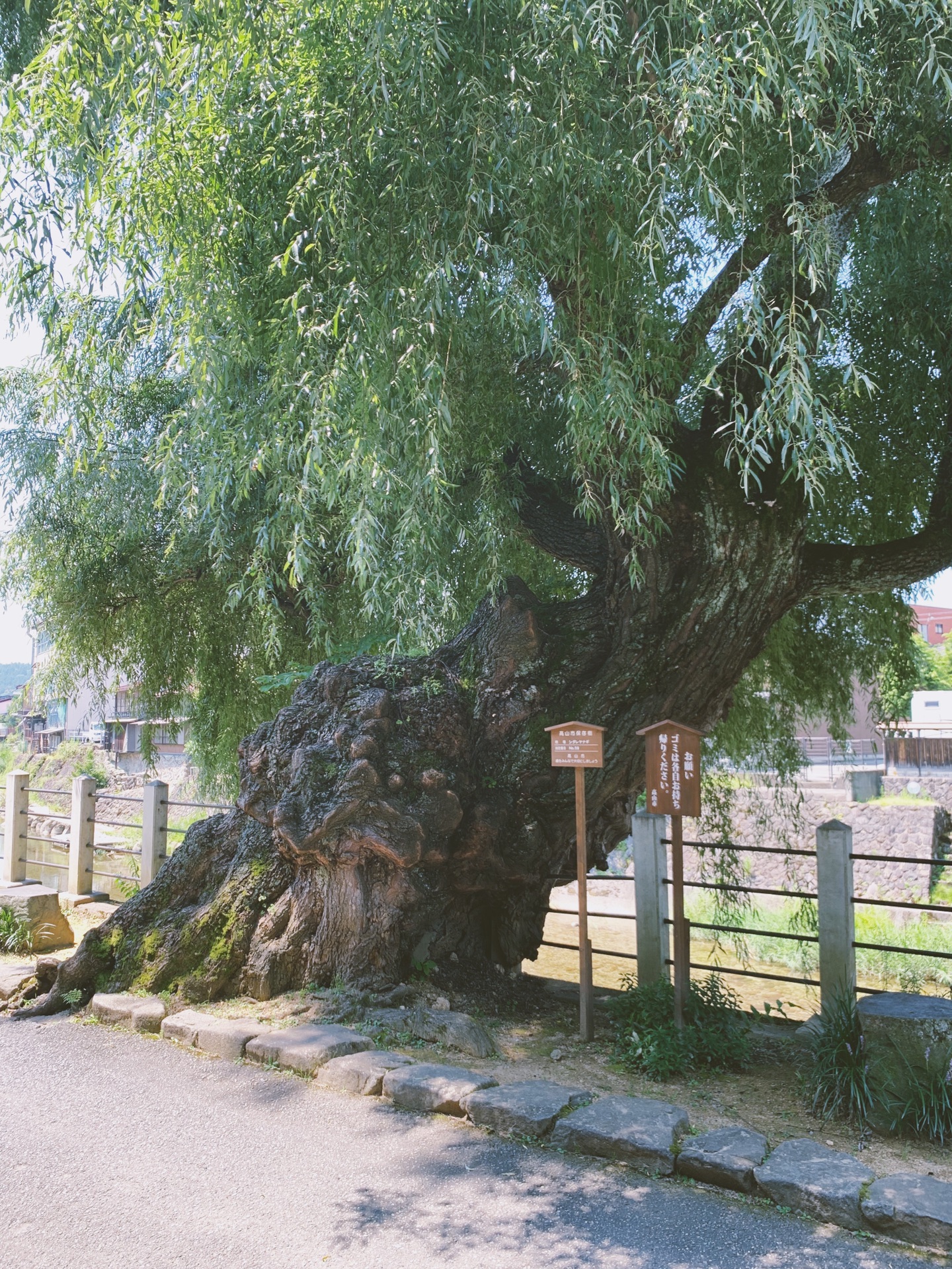 名古屋自助遊攻略