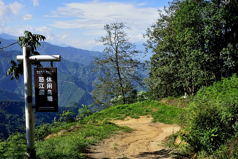 高黎贡山,怒江百鸟谷云端鸟巢!