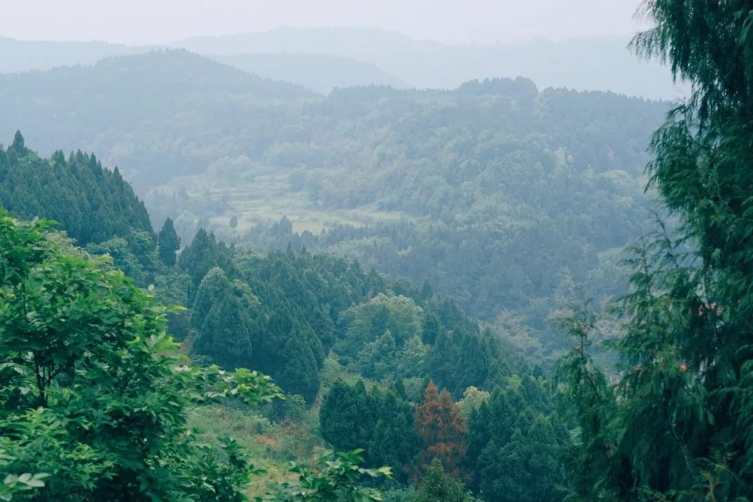 生活20年的成都人告诉你不一样的小众玩法（美食+美景）