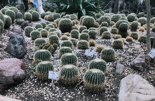 生活20年的成都人告诉你不一样的小众玩法（美食+美景）