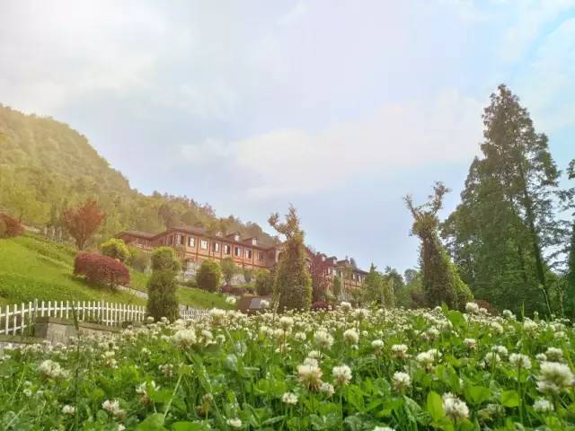 生活20年的成都人告诉你不一样的小众玩法（美食+美景）