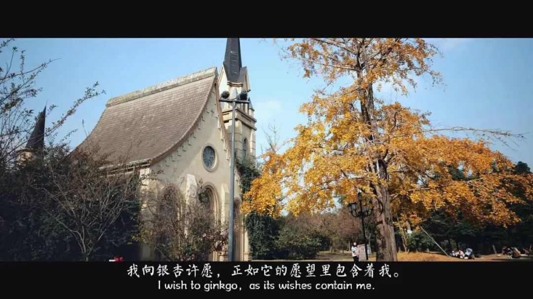 生活20年的成都人告诉你不一样的小众玩法（美食+美景）