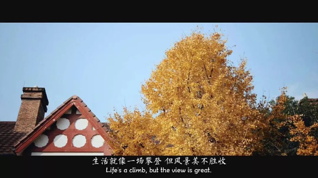 生活20年的成都人告诉你不一样的小众玩法（美食+美景）