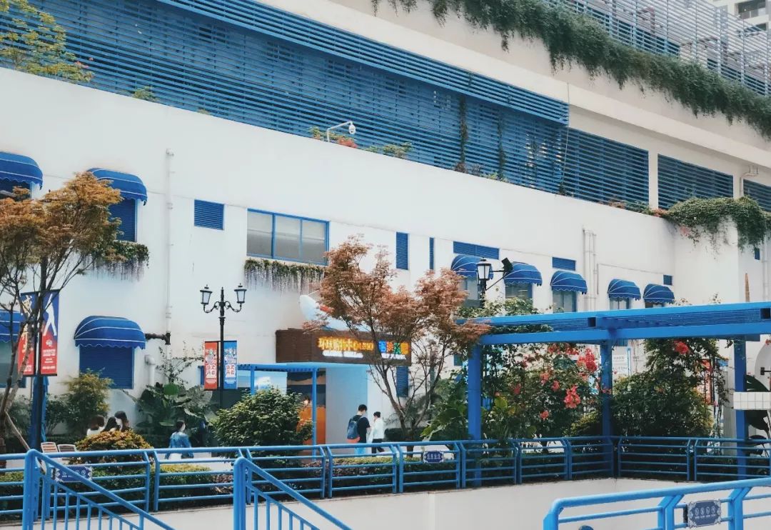 生活20年的成都人告诉你不一样的小众玩法（美食+美景）