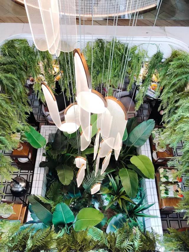 生活20年的成都人告诉你不一样的小众玩法（美食+美景）