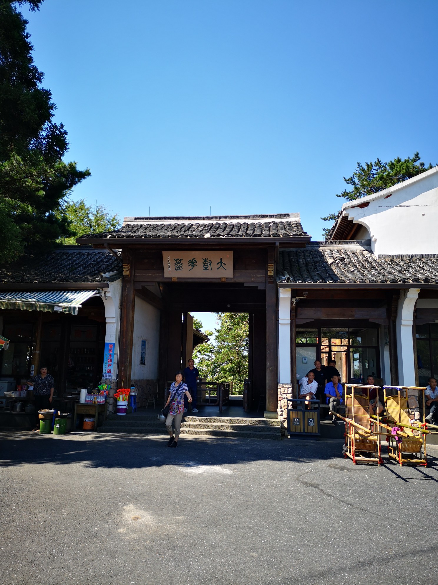 【临安图片】赴杭州临安天目山大峡谷、西天目山大树王国、禅源寺休闲、避暑、纳凉，转赴富阳东洲岛摘葡萄之行～下篇