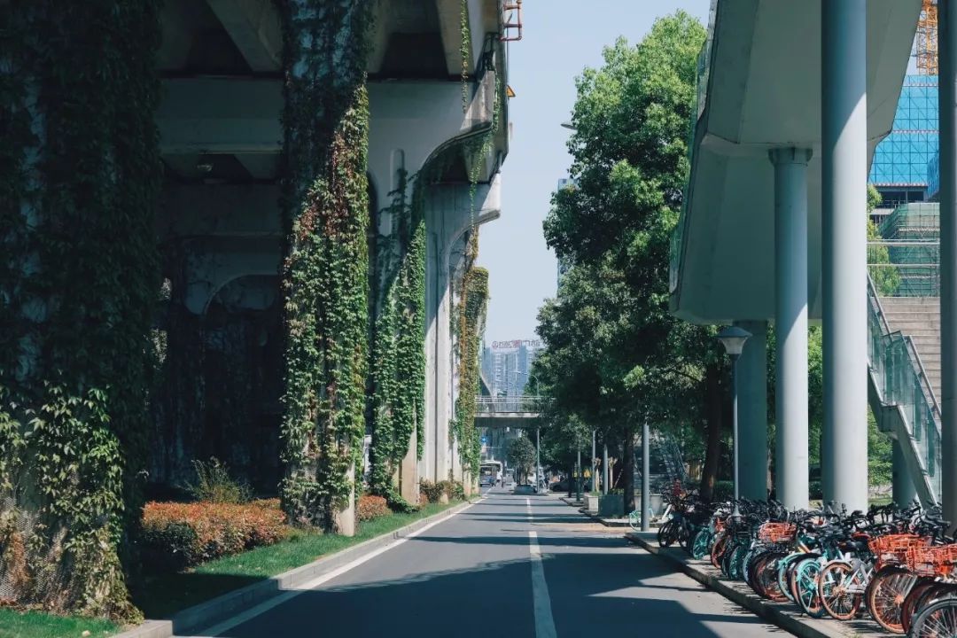 生活20年的成都人告诉你不一样的小众玩法（美食+美景）