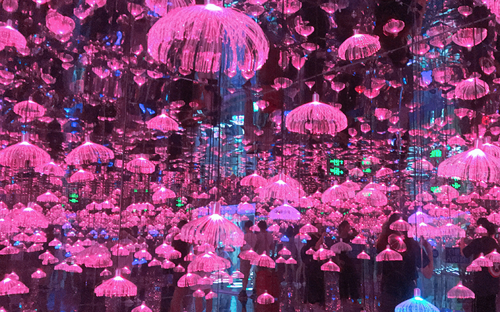 北京梵高星空艺术馆门票王府井旗舰店