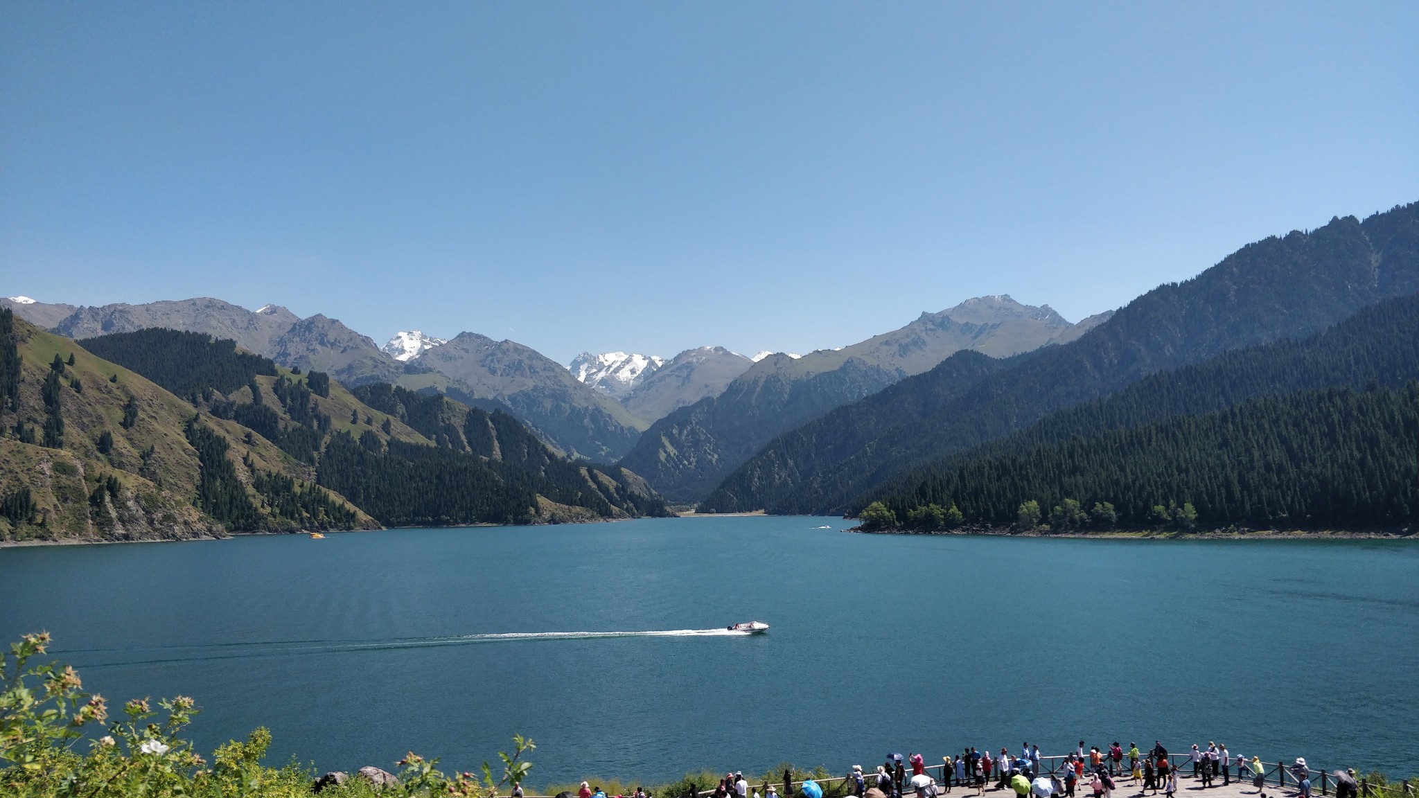 新疆逐夢之旅之二天山天池_遊記