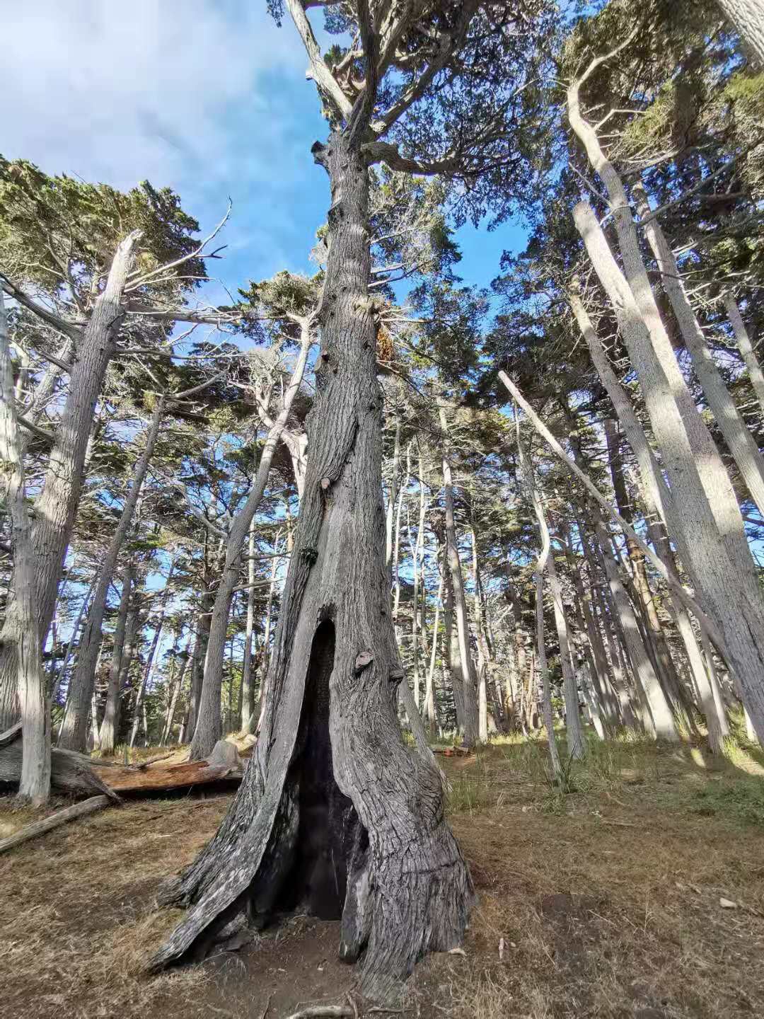 舊金山自助遊攻略