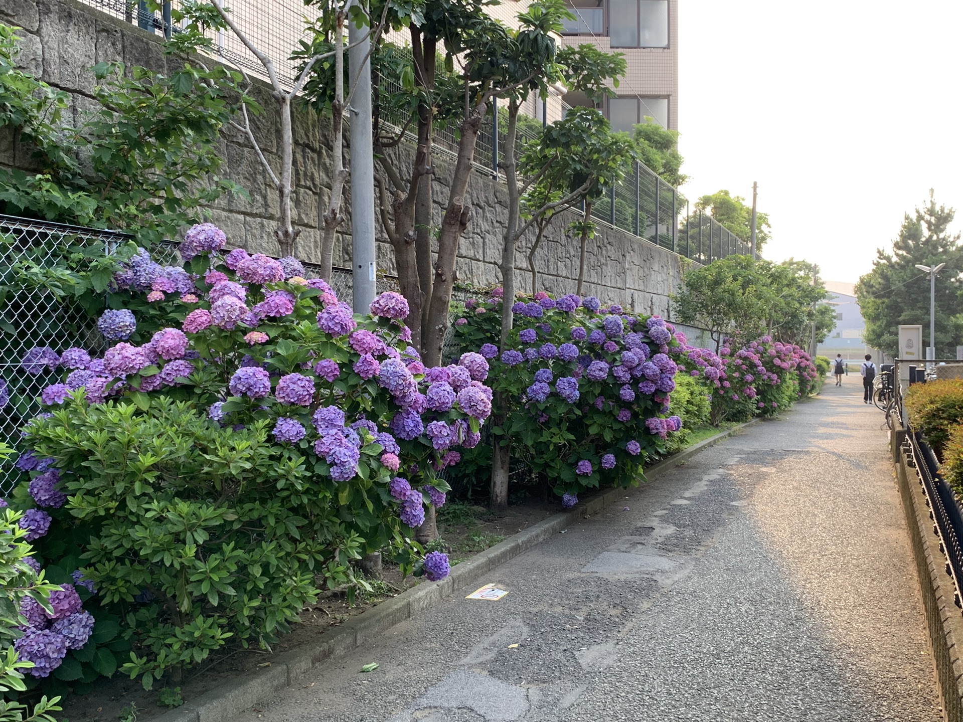 東京自助遊攻略