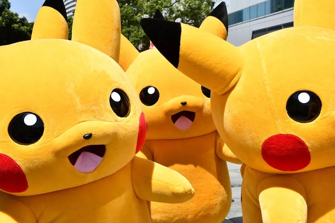 两千只野生皮卡丘爆萌来袭谁能顶住算我输