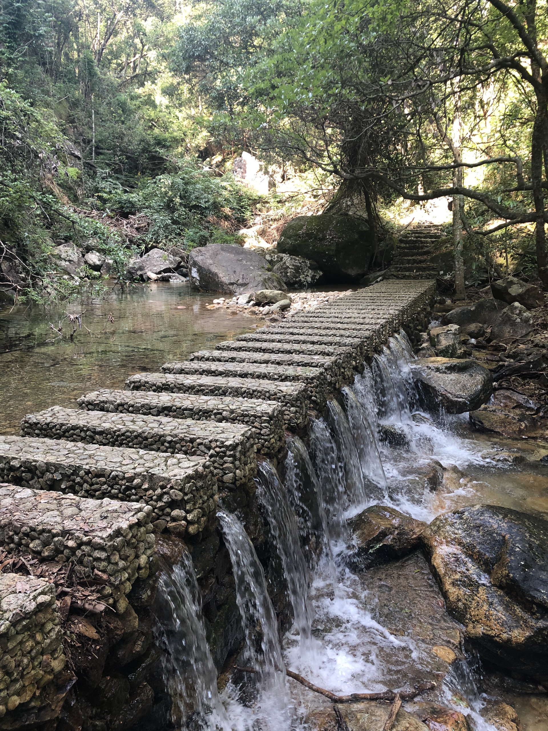 祁門牯牛降觀音堂景區攻略,牯牛降觀音堂景區門票_地址,牯牛降觀音堂