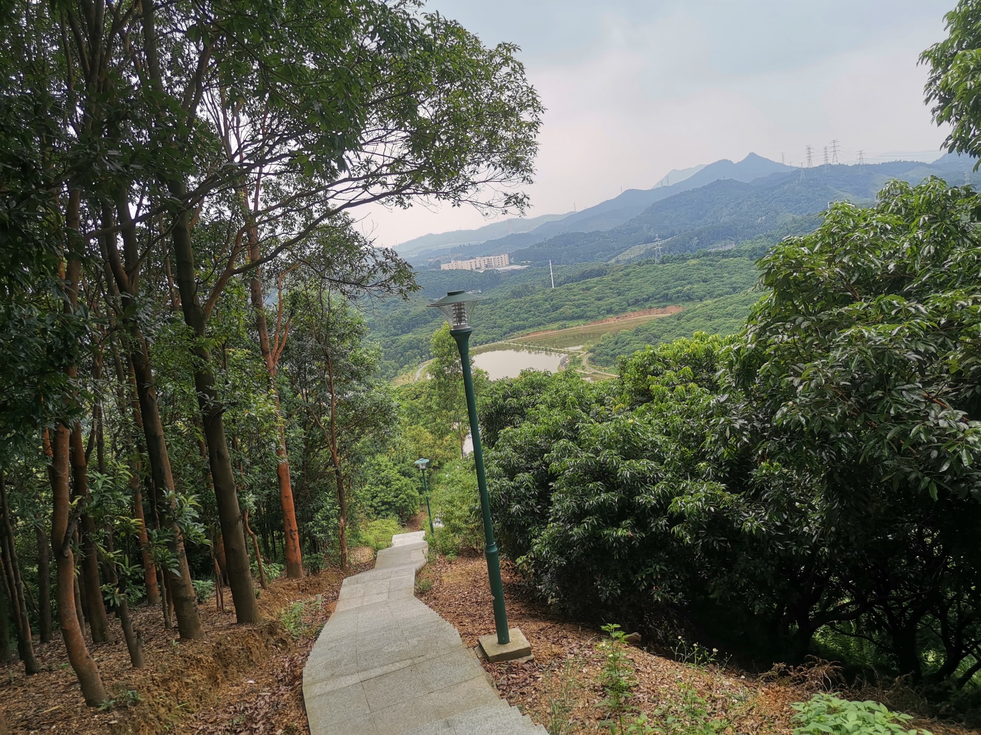 廣東省深圳市寶安區羅田森林公園