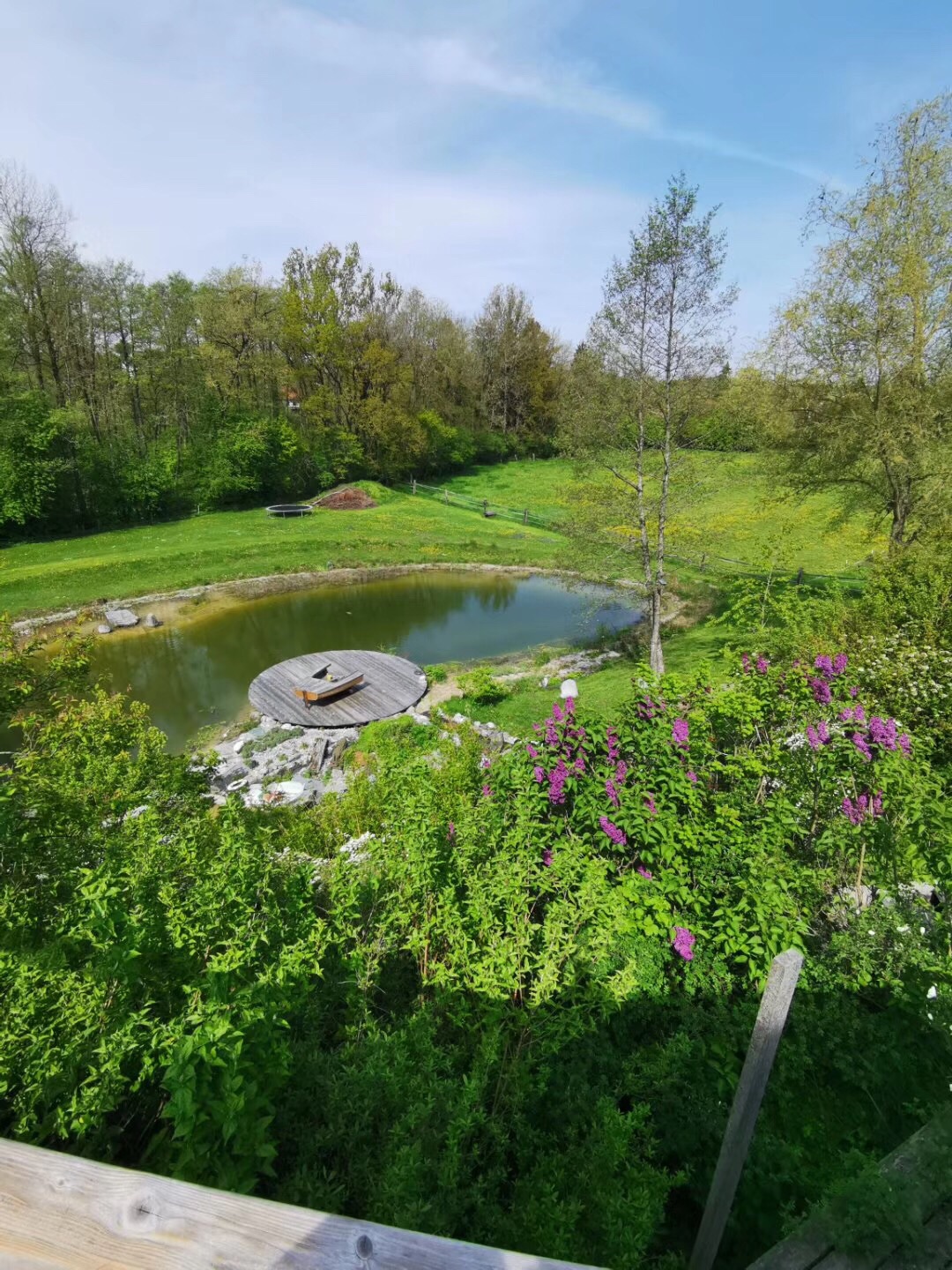 图尔高州美食-Restaurant Le Lion