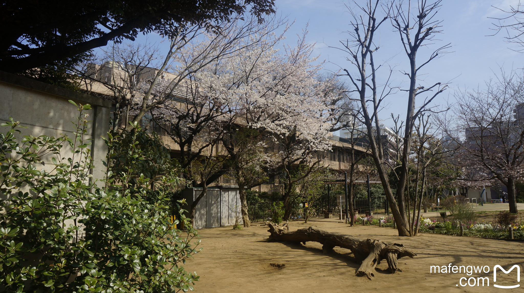 東京自助遊攻略