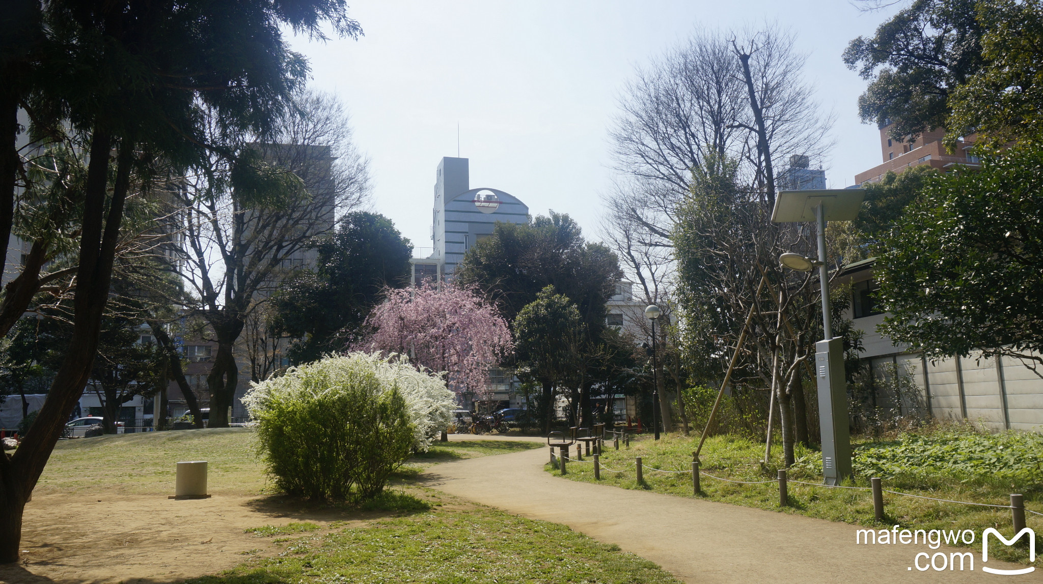 東京自助遊攻略