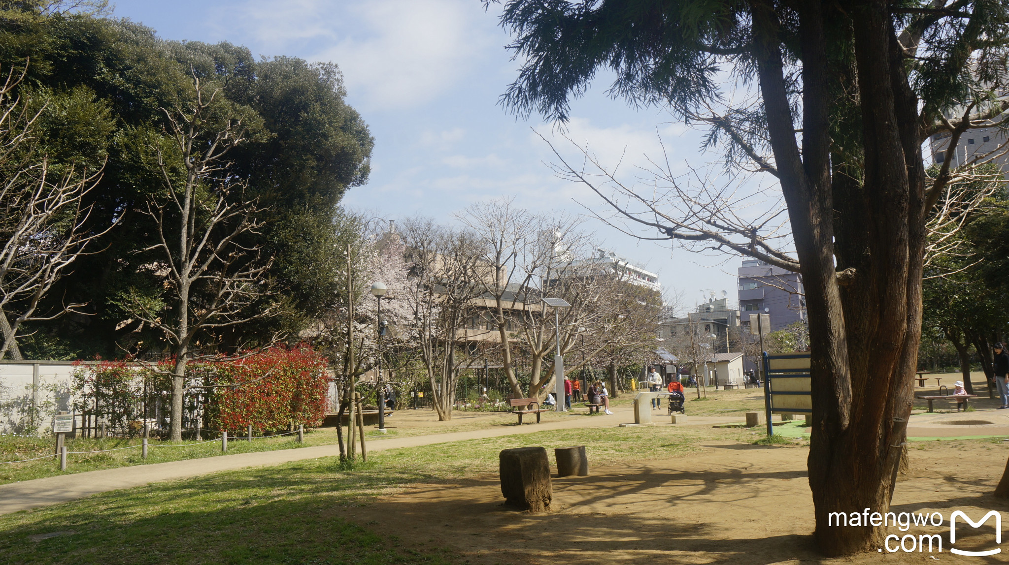 東京自助遊攻略