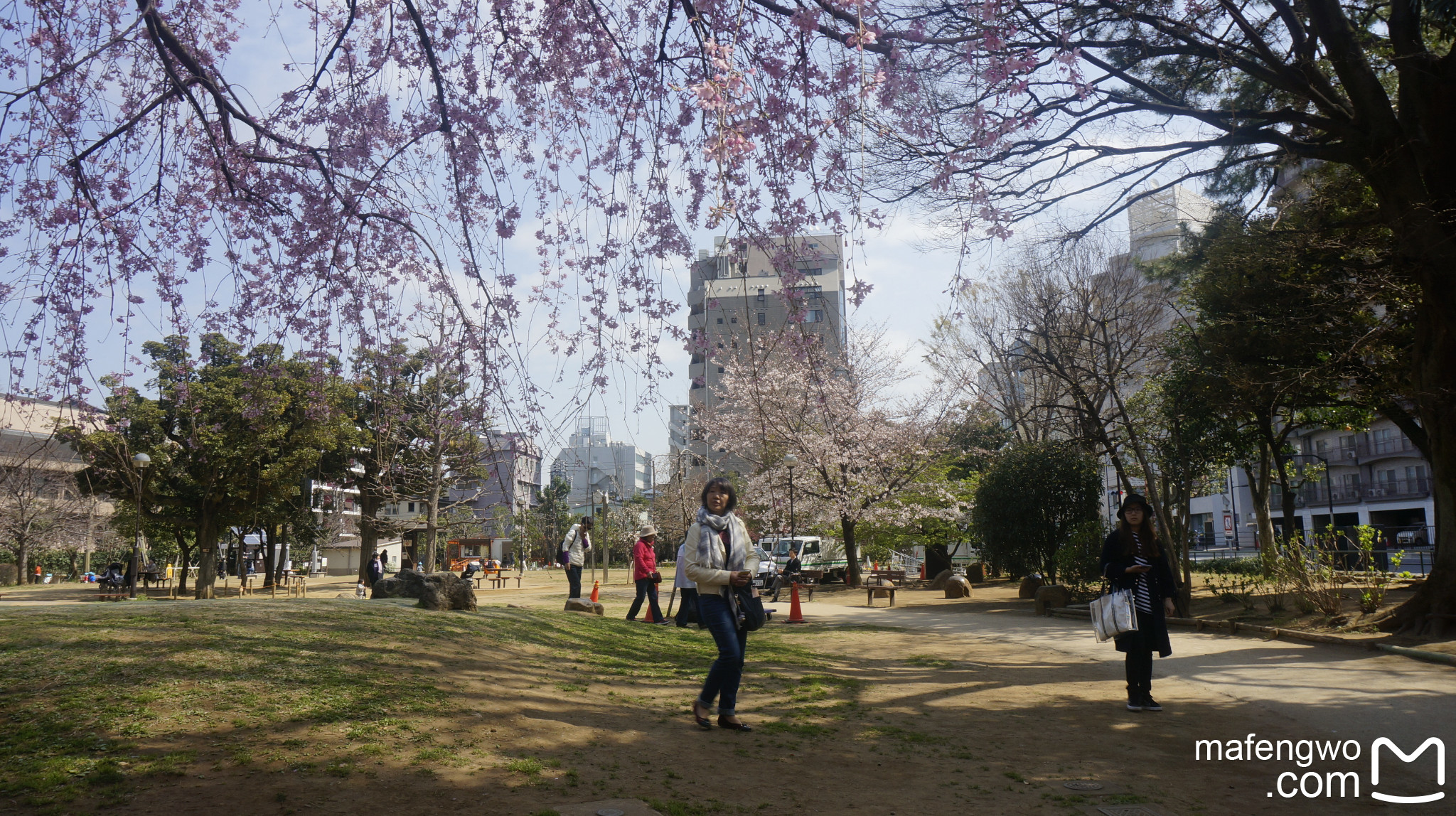 東京自助遊攻略