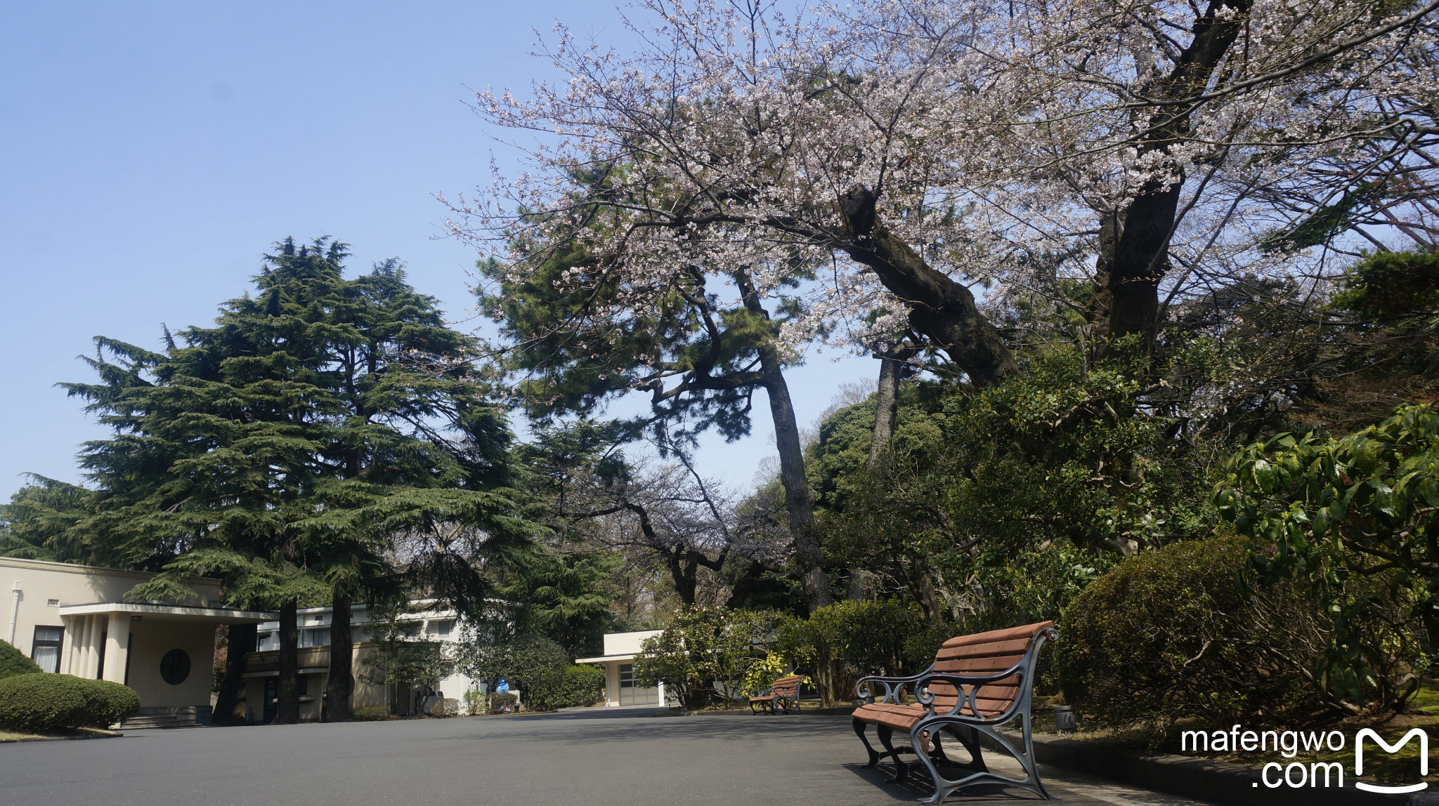 東京自助遊攻略