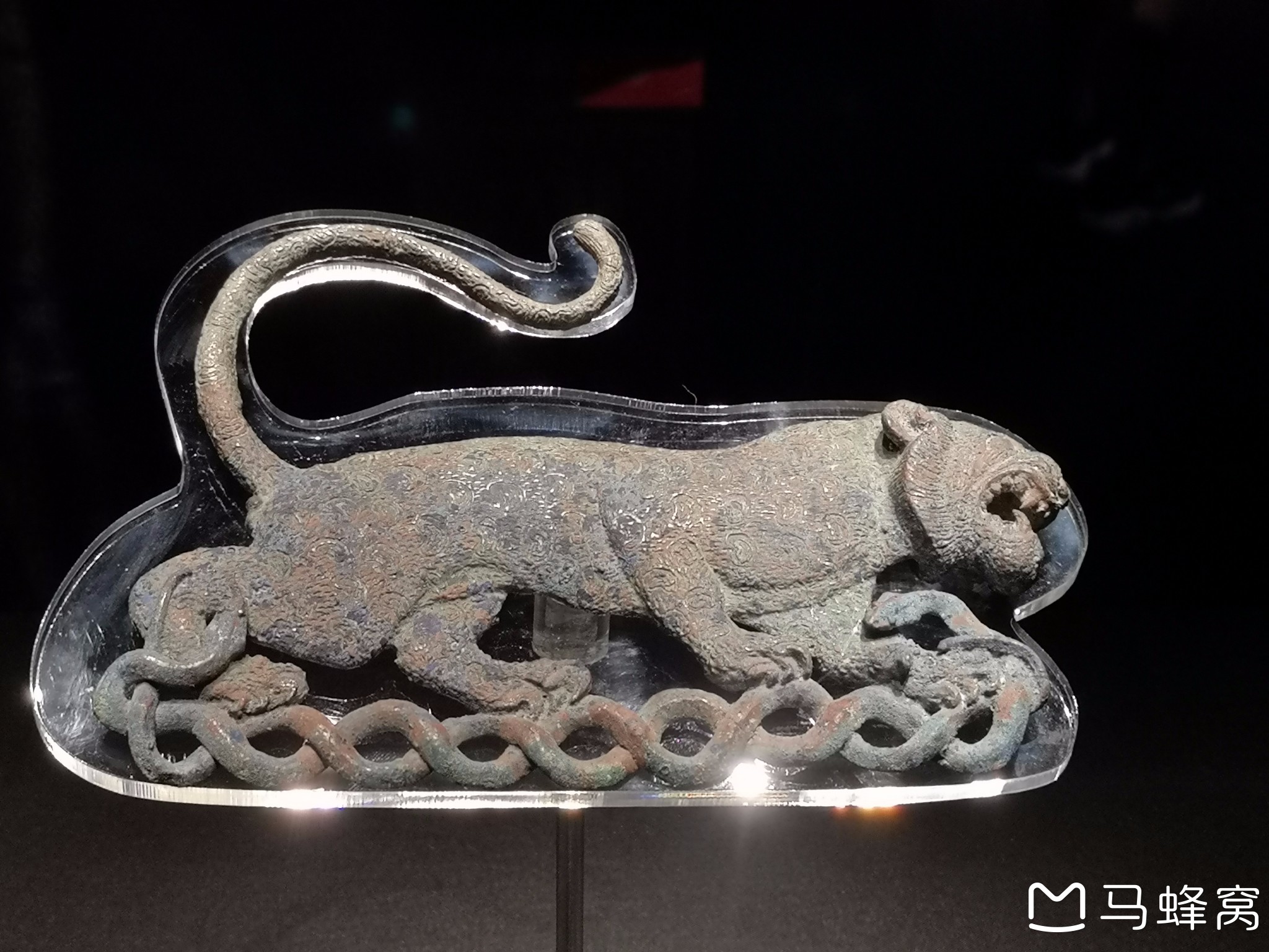 灵蛇网站马资料(灵蛇事件是真是假)