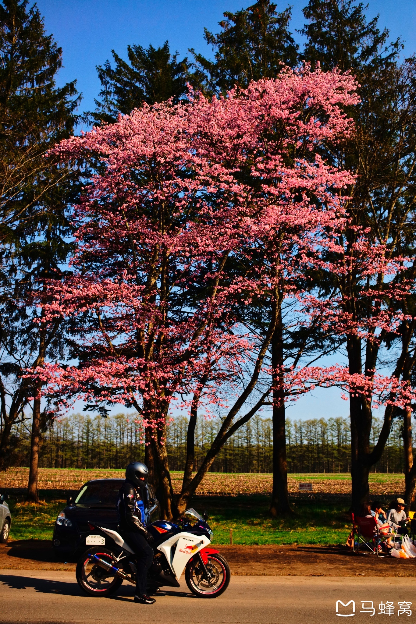 北海道自助遊攻略