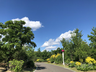 建三江植物园旅游图片,建三江植物园自助游图片,建三江植物园旅游景点
