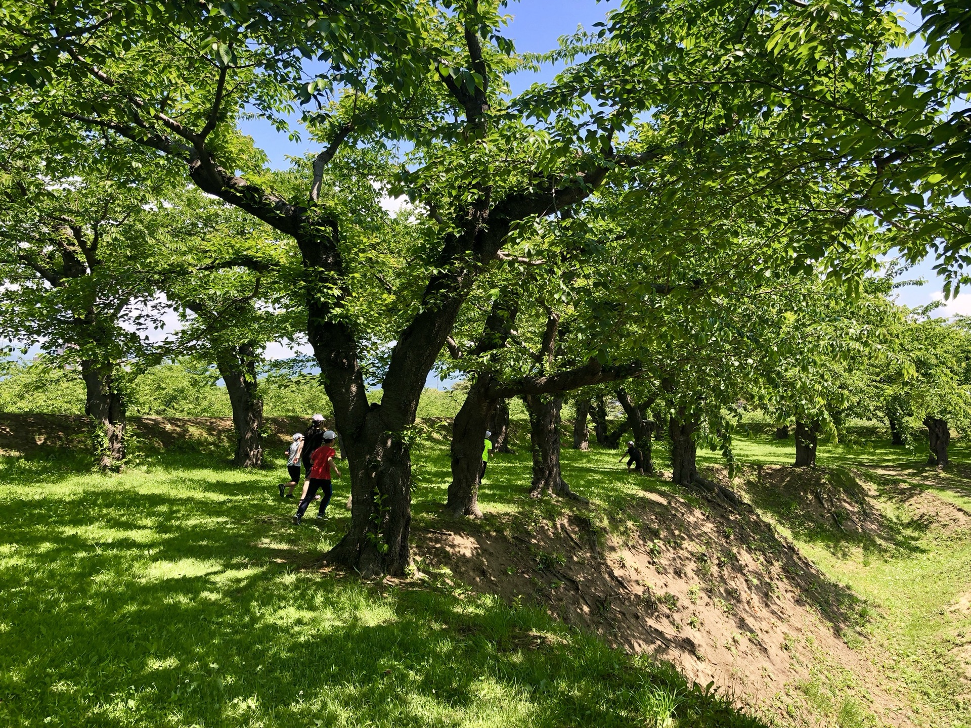 北海道自助遊攻略