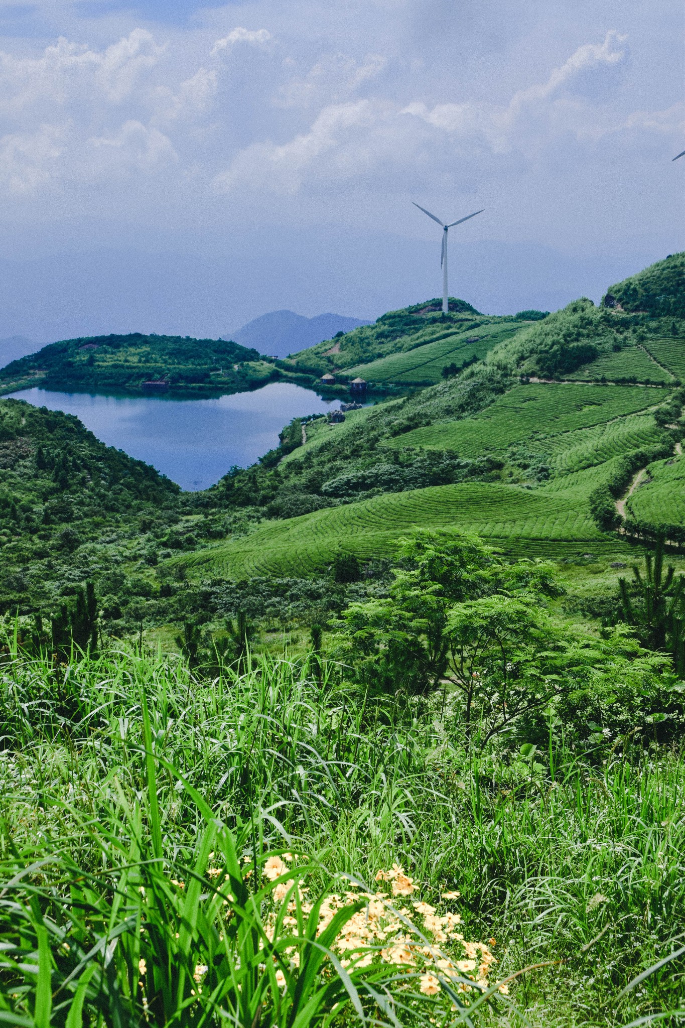 东阳免费旅游景点大全图片