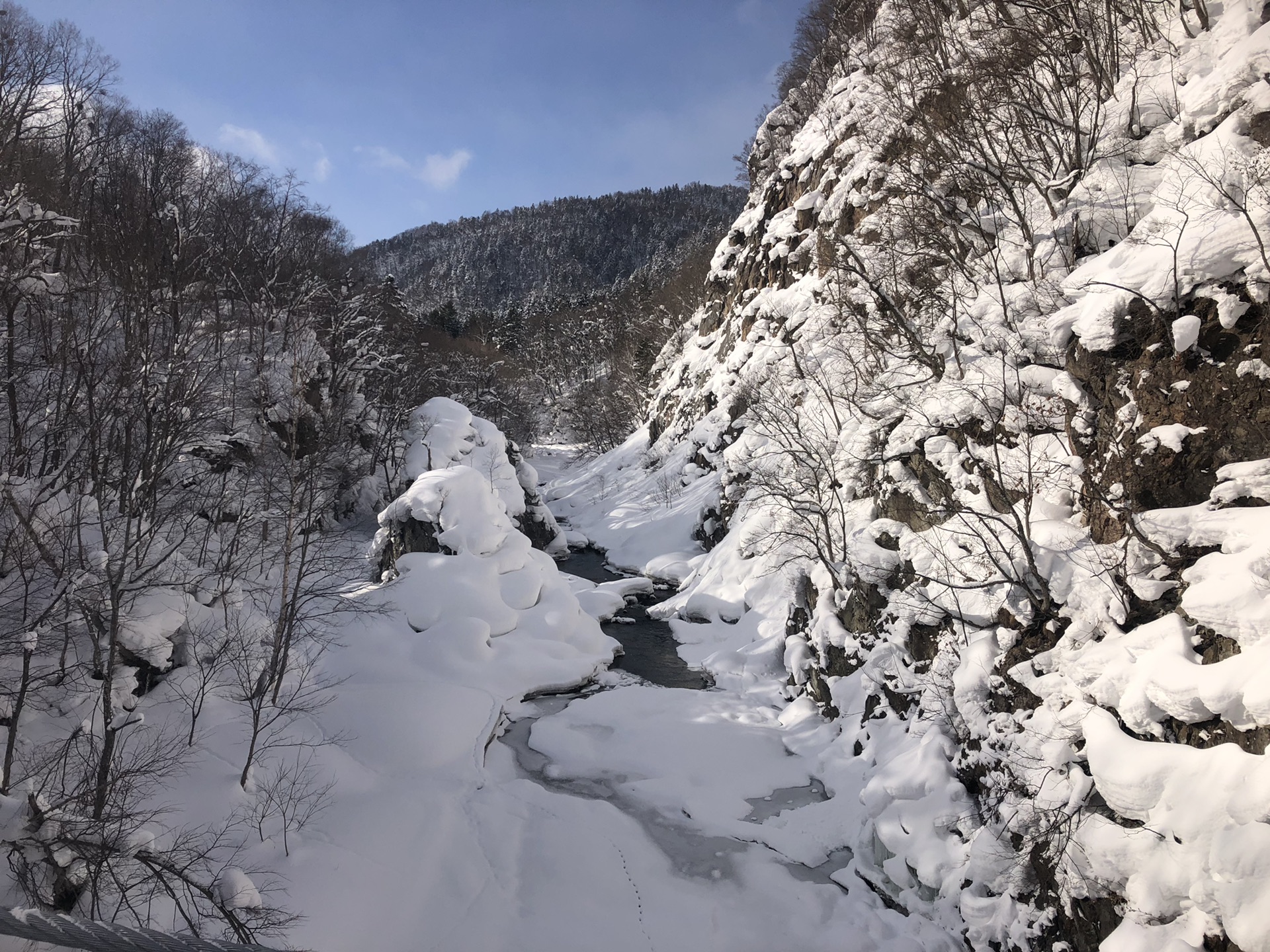 札幌自助遊攻略