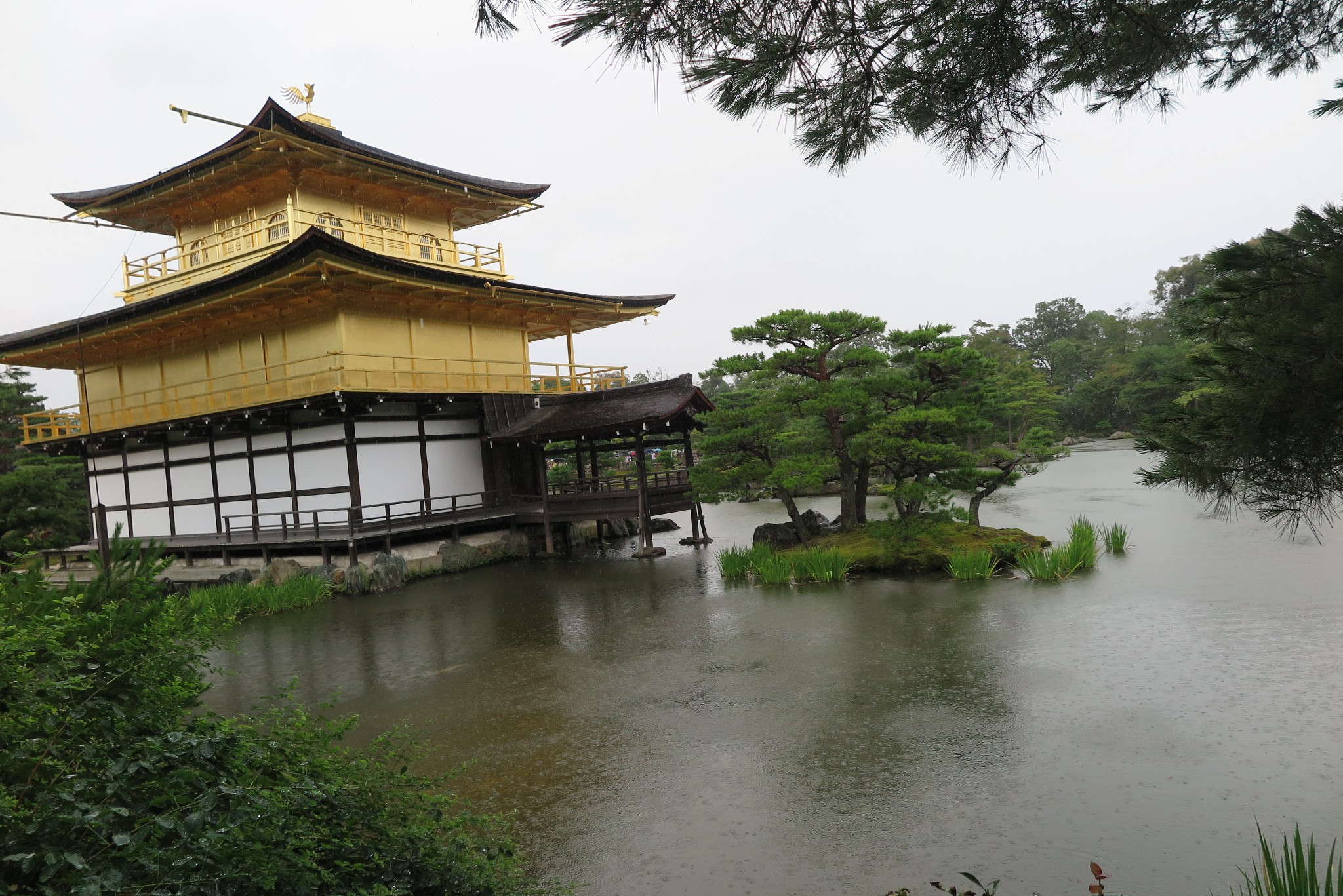 京都自助遊攻略