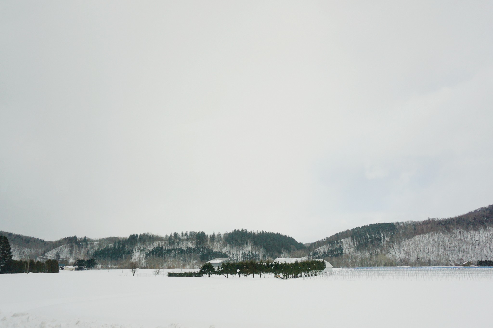 北海道自助遊攻略