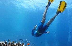 東山縣（東山半島）娛樂-東山島深藍潛水俱樂部