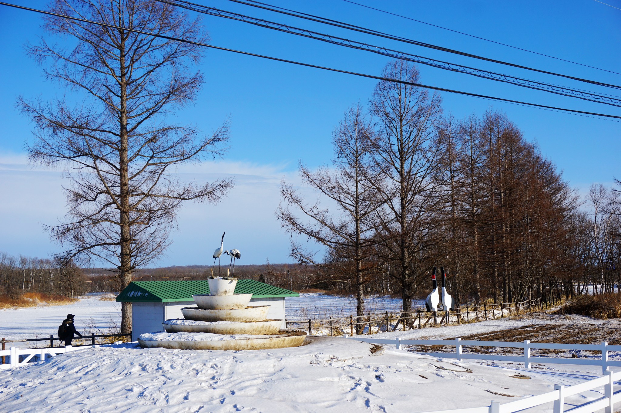 北海道自助遊攻略